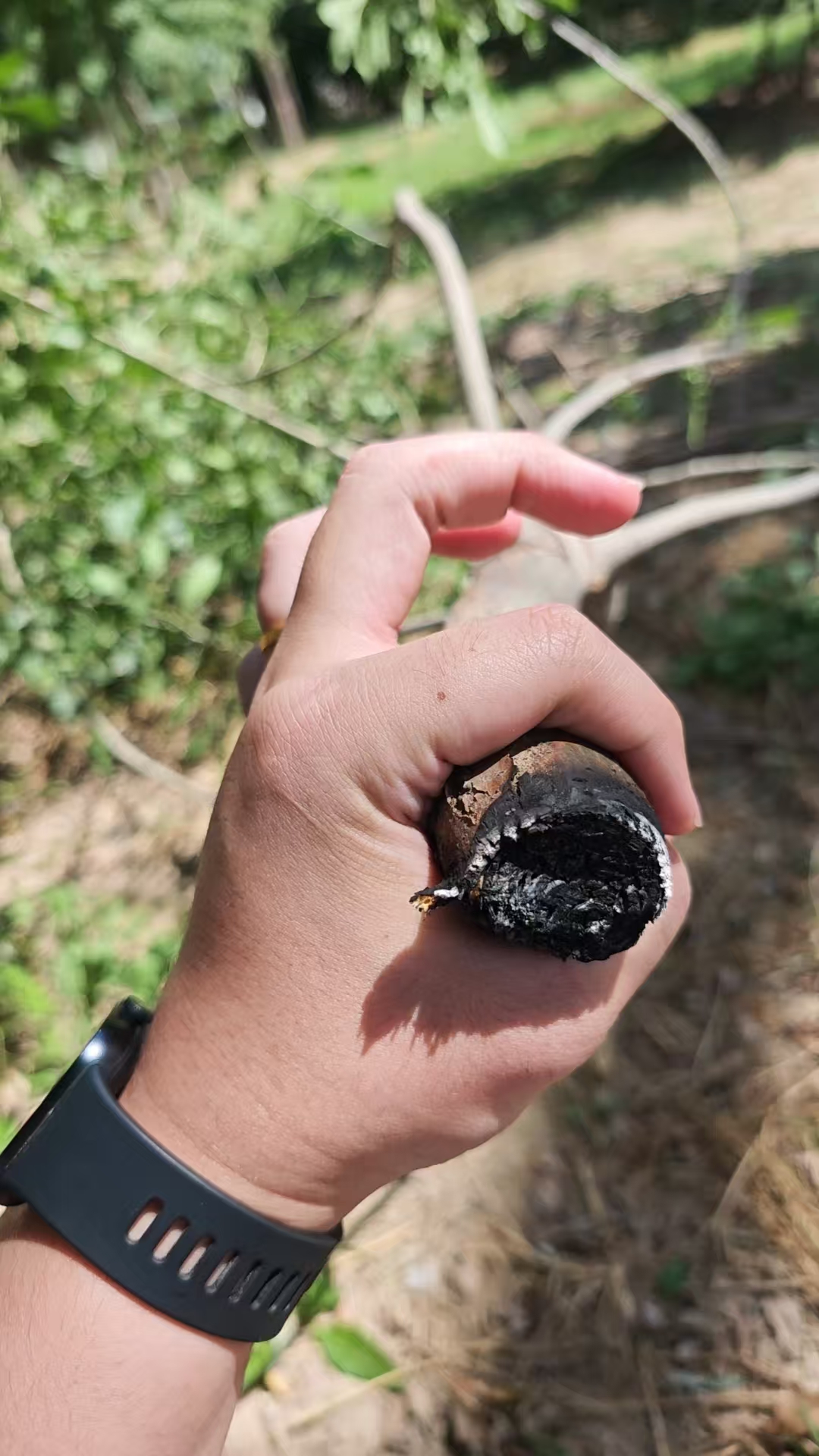 激光清障儀除樹障現(xiàn)場 激光清障儀除樹障現(xiàn)場