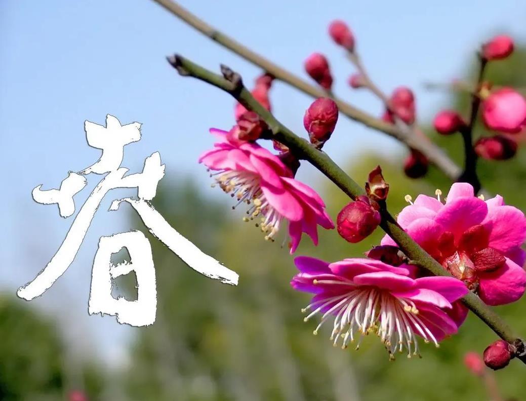 春天為什么更加需要使用空氣消毒機(jī)呢？