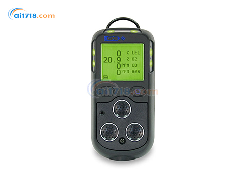 PS200便攜式氣體檢測報(bào)警器