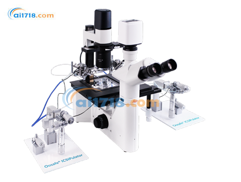 ICSIPulator 調(diào)節(jié)器