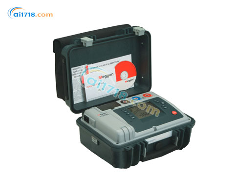 S1-1054/2絕緣電阻測(cè)試儀