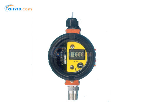 C12-17 可燃?xì)怏w檢測儀